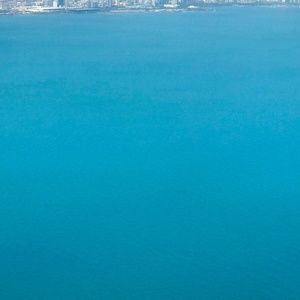 Meet your Posher, Anne